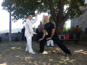 TAIJI QUAN – XIN YI QUAN 